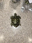 5 Pcs Dresser Turtle Drawer Pulls Handle Door Knobs Cabinets Set Of. Fixed Price $24.26.