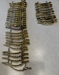Amerock 63868-1 & 63867-1 Door Drawer Pulls- Lot Of 35. Fixed Price $50.00.
