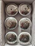 New Casa Decor 6 Drawer Pulls 2 1/4" Knobs Silver Filigree On White Ceramic Nib. Fixed Price $18.00.