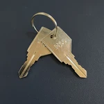 (2) Wesko / Pundra Cabinet Replacement Keys Cut Code P1 P250 -tracked. Fixed Price $13.99.