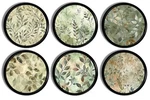 Organic Modern Cabinet Knobs, Earthy Green Botanical Leaf, 4 6PC Drawer Pulls. Fixed Price $35.00.