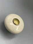 Amerock Cream Bronze Porcelain Ceramic Knob Cabinet Drawer Pull W/ Round Specks. Fixed Price $7.25.