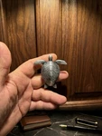 10 Pcs Sea Turtle Shape Knobs Door Handle Cabinet Drawer Cupboard Pull Dresser. Fixed Price $60.00.